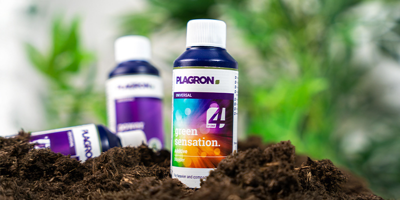 Jak použ&iacute;vat aditiva podle růstov&eacute; f&aacute;ze