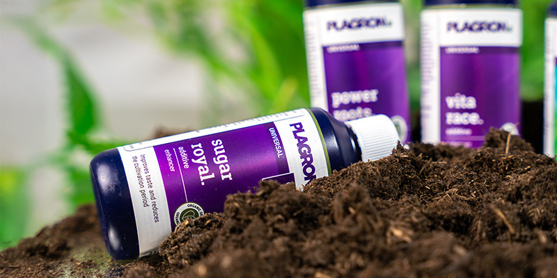 Co jsou aditiva ke konop&iacute;?