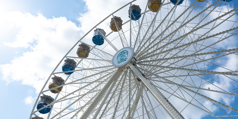 The Zamnesia Experience