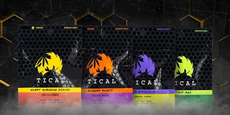 Seznamte se s exkluzivn&iacute;mi odrůdami TICAL