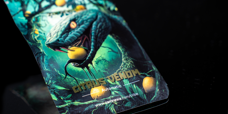 2. m&iacute;sto: Citrus Venom Automatic (Zamnesia Seeds)