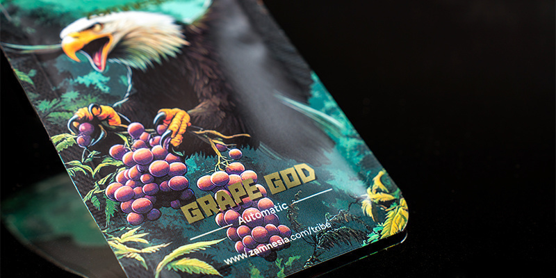 5. m&iacute;sto: Grape God Automatic (Zamnesia Seeds)