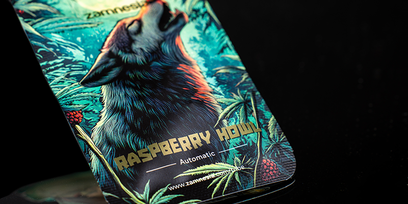 Um&iacute;stěn&iacute; 3: Raspberry Howl Automatic (Zamnesia Seeds)