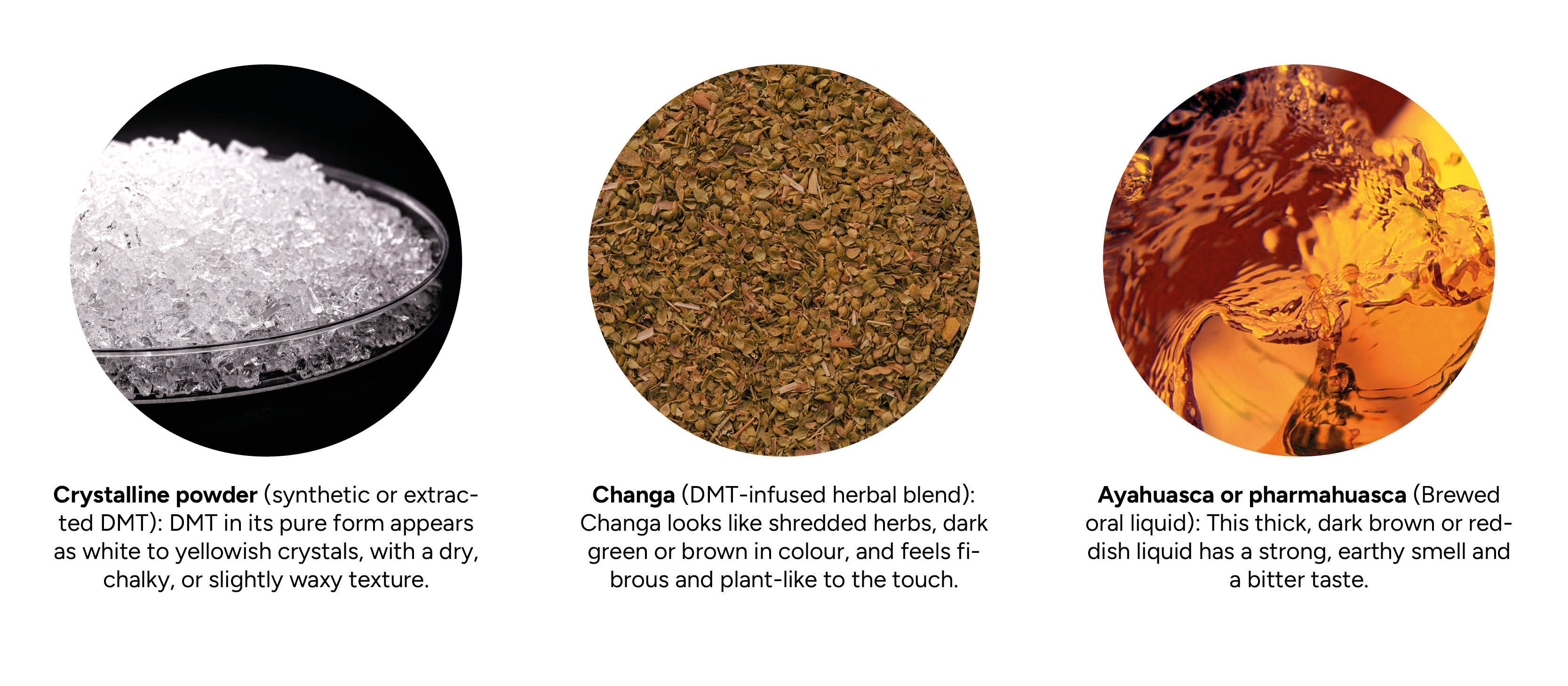 Jak vypad&aacute; DMT?