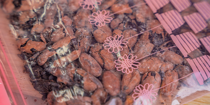 6. Use 30&ndash;50 Cacao Beans Per Serving