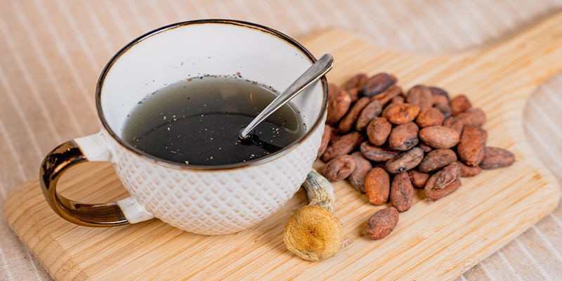 Houby a kakao &mdash; starověk&eacute; azt&eacute;ck&eacute; psychedelick&eacute; duo