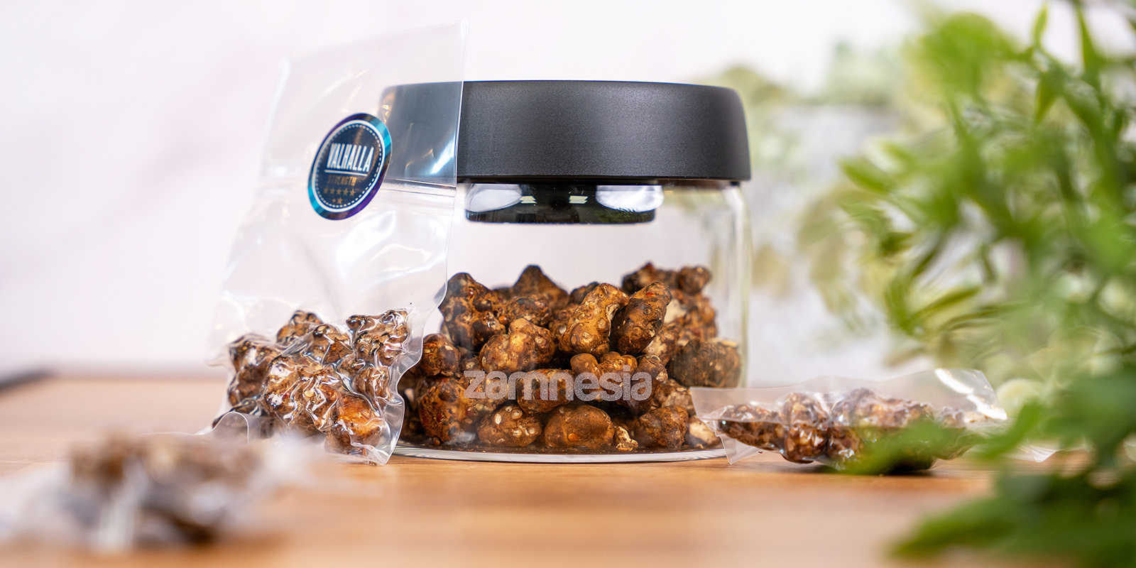 Proč z&aacute;lež&iacute; na spr&aacute;vn&eacute;m skladov&aacute;n&iacute; magick&yacute;ch lan&yacute;žů