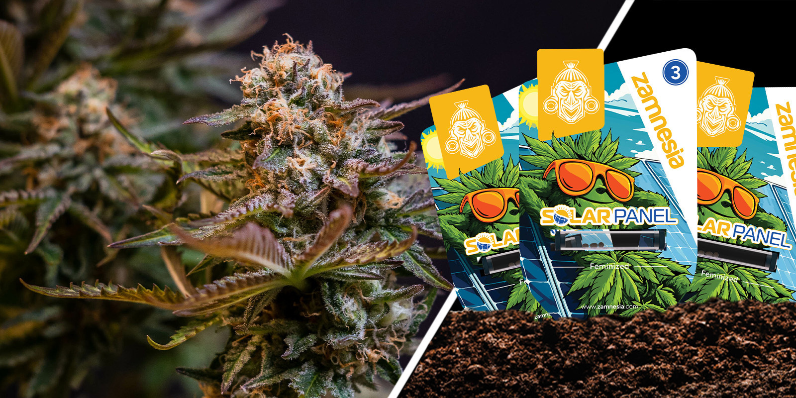 Sol&aacute;rn&iacute; panel: Sladk&aacute; citrusov&aacute; s&iacute;la ve dne v noci