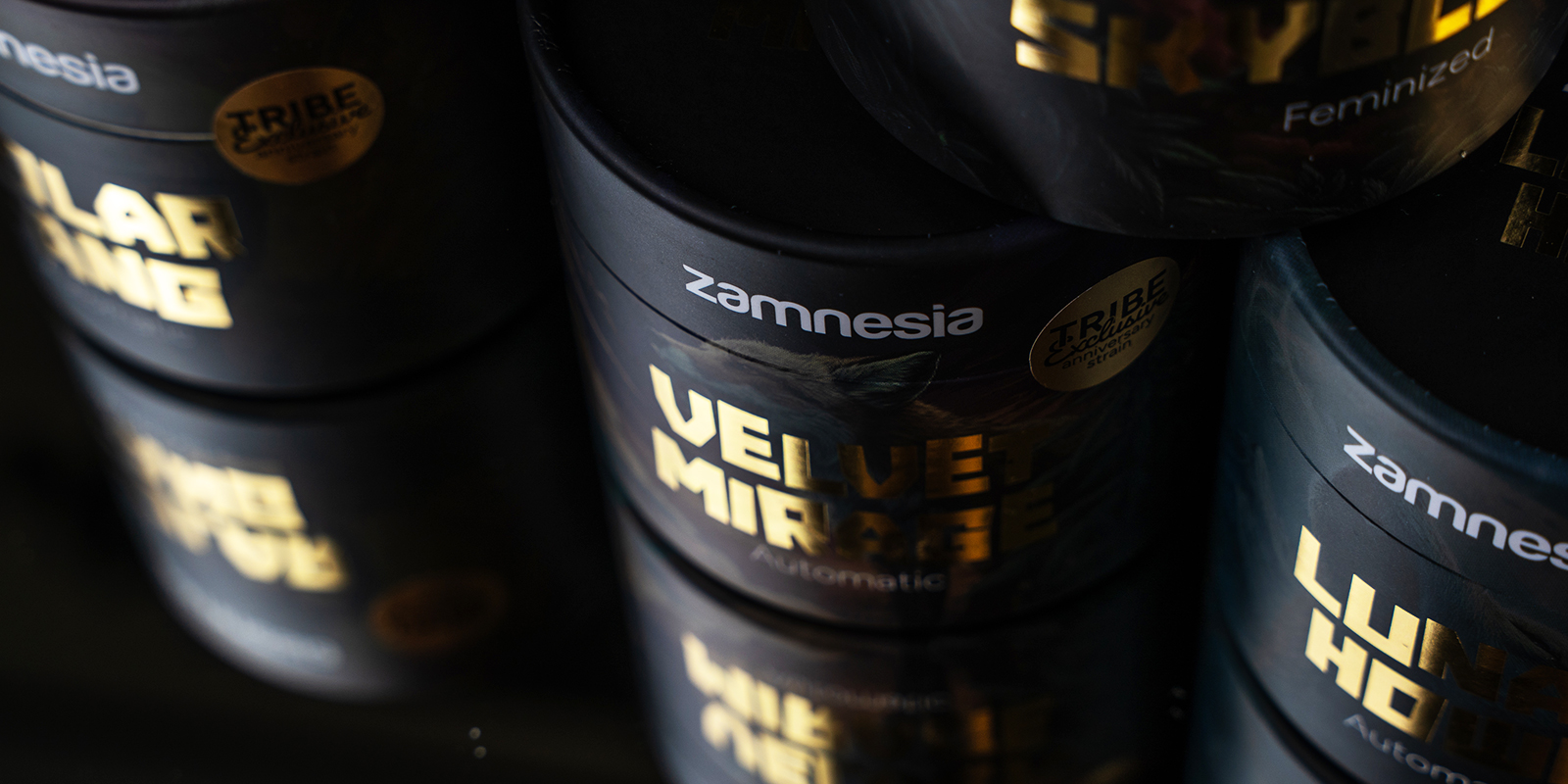 Ready to experience all the TRIBE has to offer?