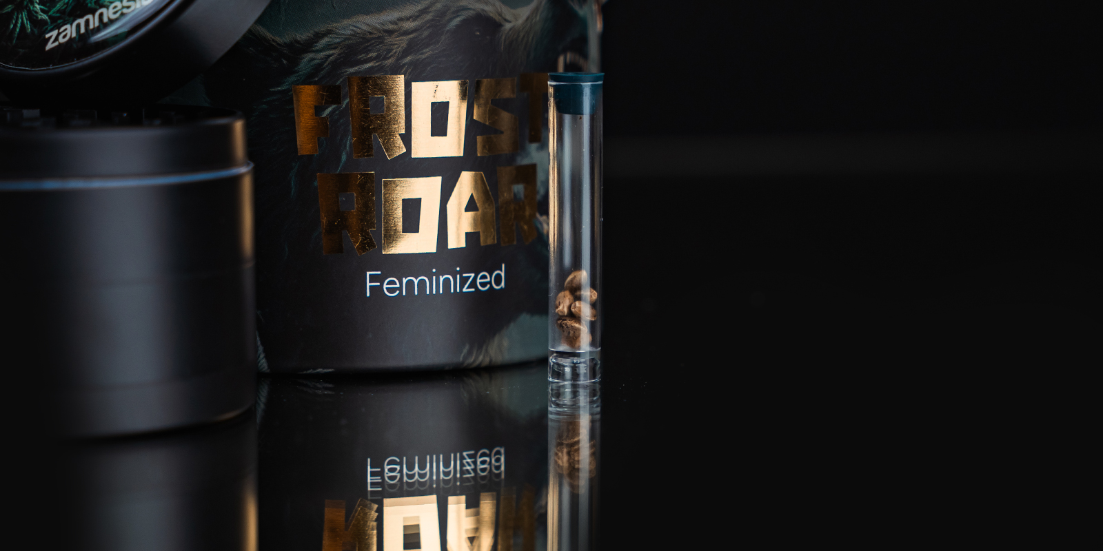 Proč si vybrat TRIBE?