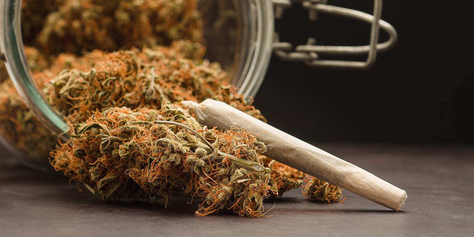 To nejlep&scaron;&iacute; z &uacute;dol&iacute;, od sem&iacute;nka po &uacute;kryt