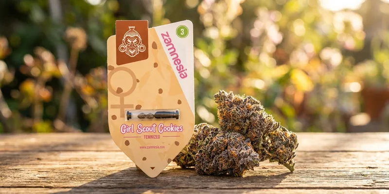 Girl Scout Cookies (Zamnesia Seeds)