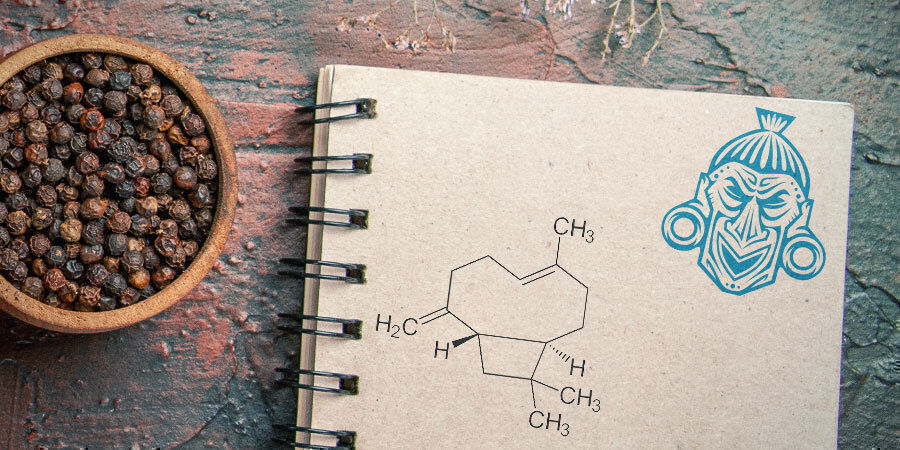 Co je beta-karyofylen?