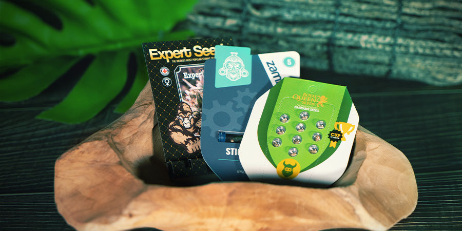 Genetika samonakv&eacute;tac&iacute;ch odrůd: Tohle je teprve zač&aacute;tek