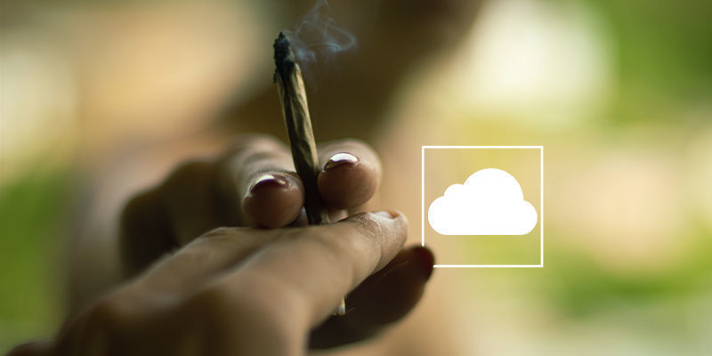 Může konop&iacute; zastavit sny?