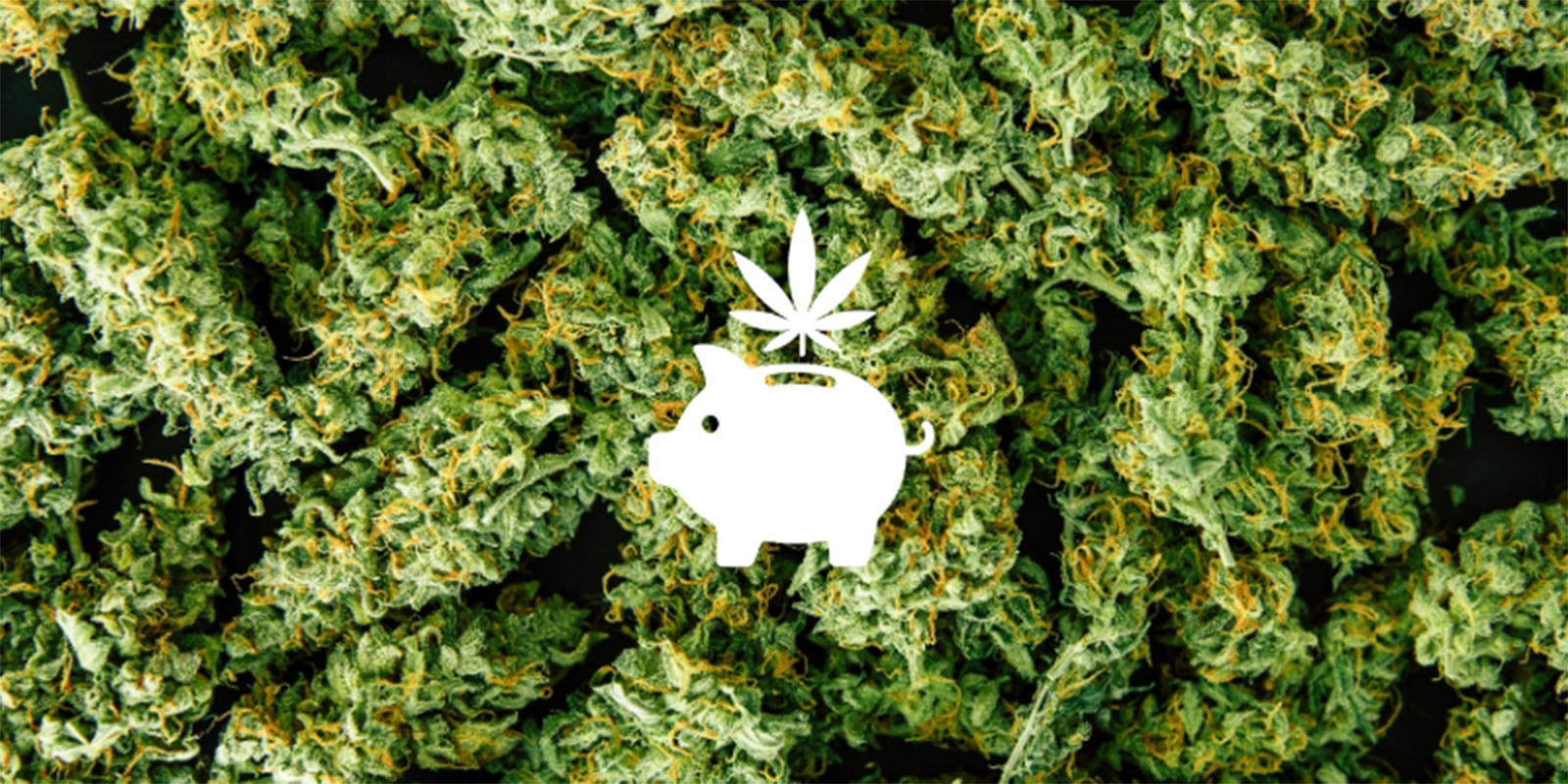 Důvod č. 1: U&scaron;etřete pen&iacute;ze z dlouhodob&eacute;ho hlediska