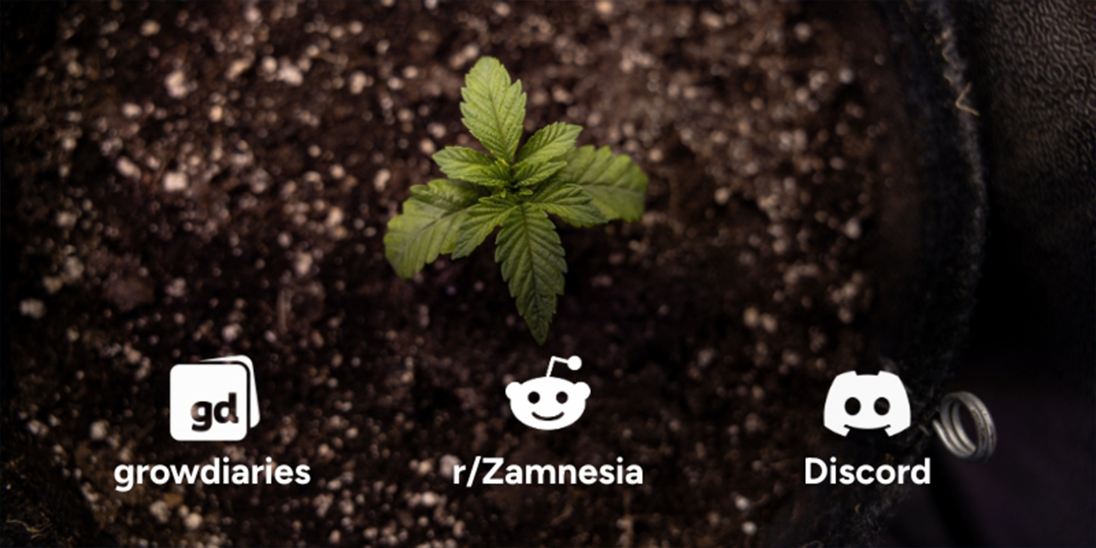 Důvod č. 10: Přidejte se k rostouc&iacute; komunitě