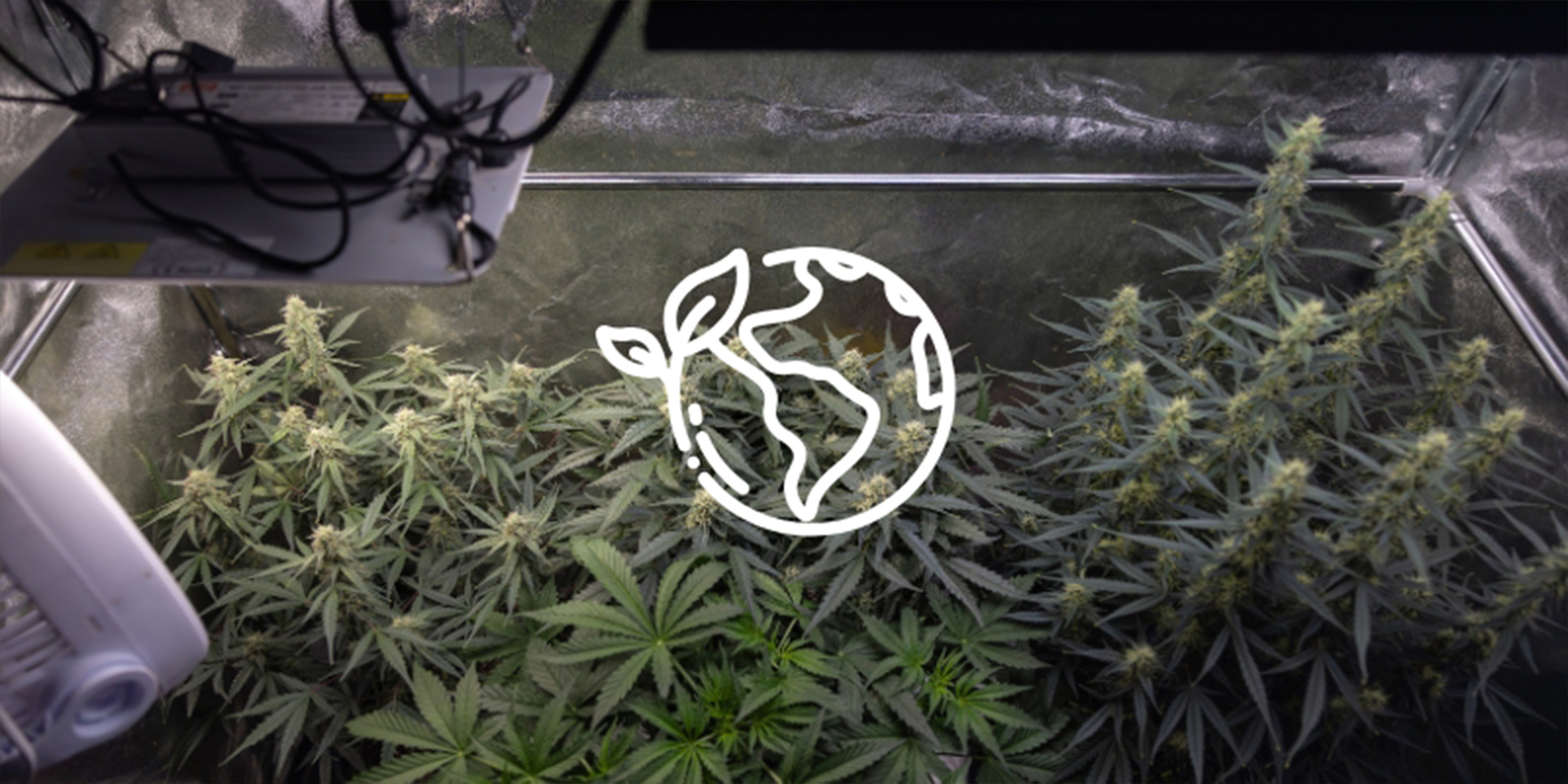 Důvod č. 5: Je to udržitelněj&scaron;&iacute;