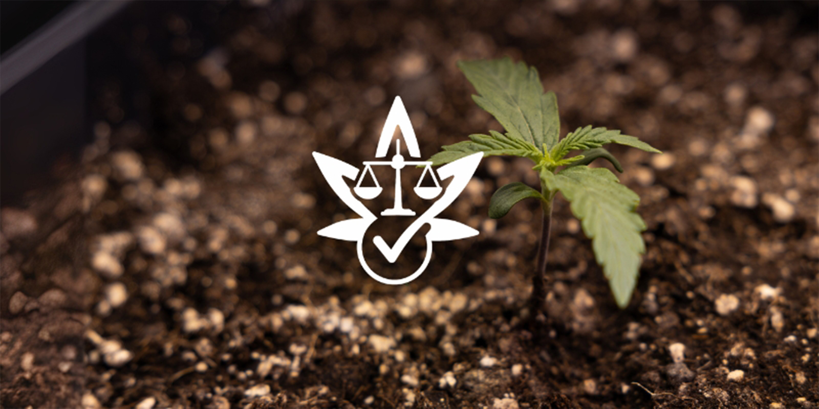 Důvod č. 7: Pr&aacute;vn&iacute; svoboda (kde je to možn&eacute;)