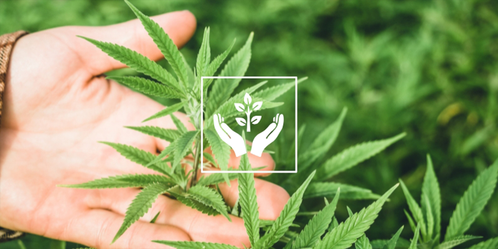 Důvod č. 8: Terapeutick&eacute; a v&scaron;&iacute;mav&eacute;