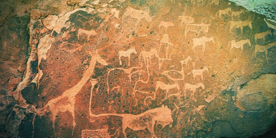 Historie divok&eacute; daggy