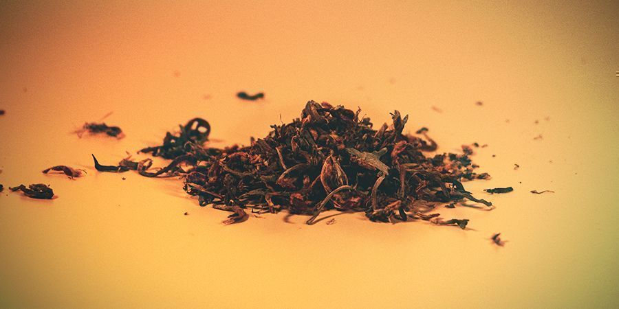 Wild dagga | Leonotis leonurus