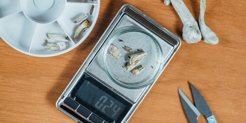 V&yacute;běr spr&aacute;vn&eacute;ho psychedelika a d&aacute;vkov&aacute;n&iacute;