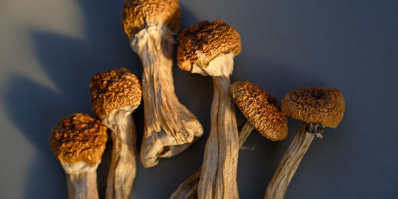 Vytvořen&iacute; pohodln&eacute;ho prostřed&iacute;