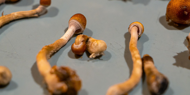 Handling difficult experiences and bad trips