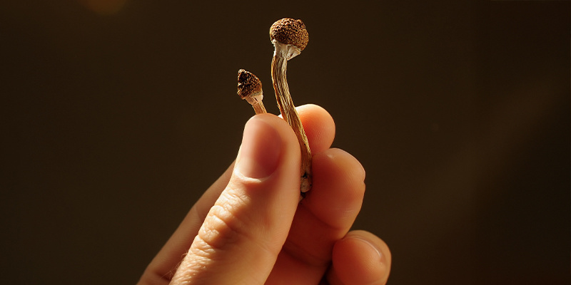 Post-trip reflection