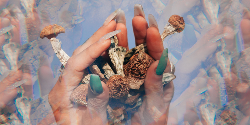 Pochopen&iacute; důležitosti setu a settingu