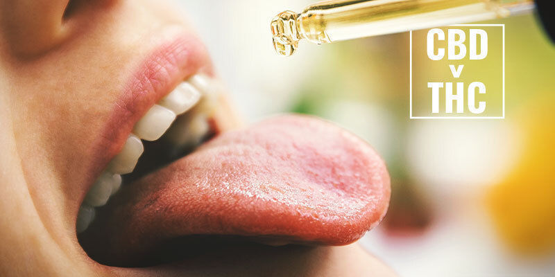 Může se CBD v lidsk&eacute;m těle přeměnit na THC?