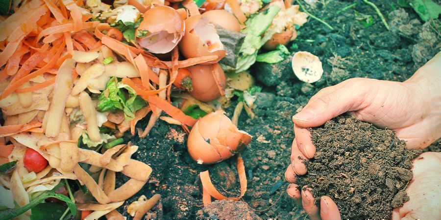 &Uacute;prava pH půdy při organick&eacute;m pěstov&aacute;n&iacute;