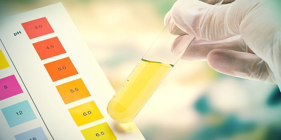 PROČ JE PH TAK DŮLEŽIT&Eacute; PŘI PĚSTOV&Aacute;N&Iacute; KONOP&Iacute;?