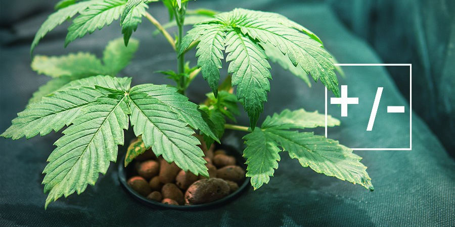 V&Yacute;HODY A NEV&Yacute;HODY HYDROPONIE