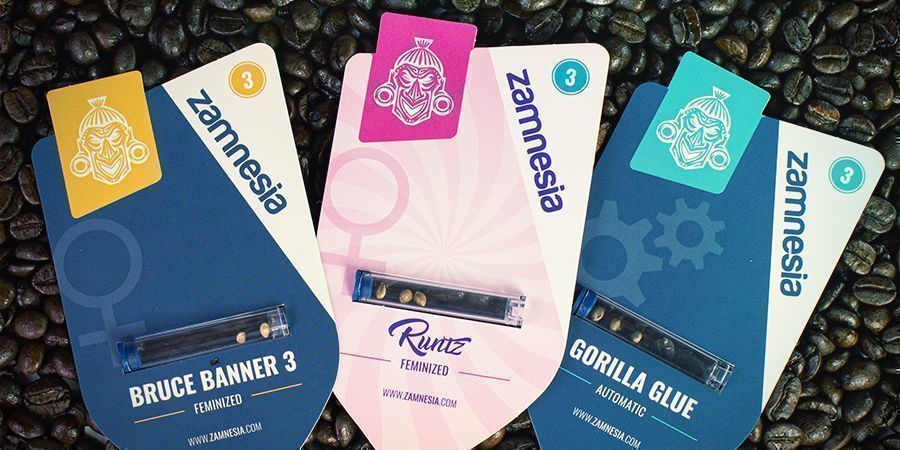 NEJLEP&Scaron;&Iacute; ODRŮDY KONOP&Iacute;, KTER&Eacute; VYZKOU&Scaron;ET S K&Aacute;VOU