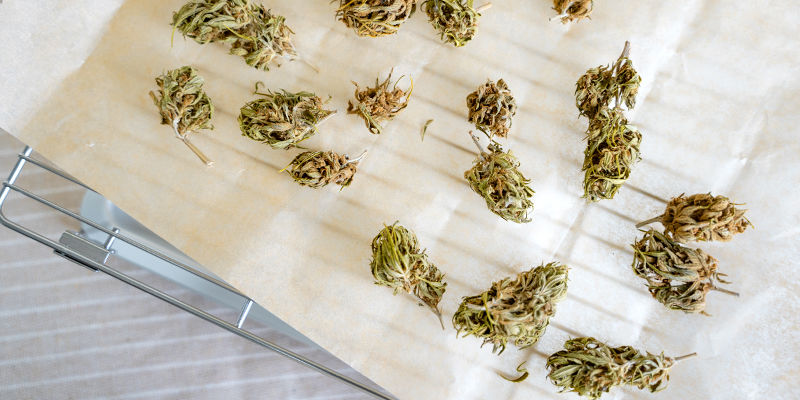 Možnost 1: Na plechu na pečen&iacute;