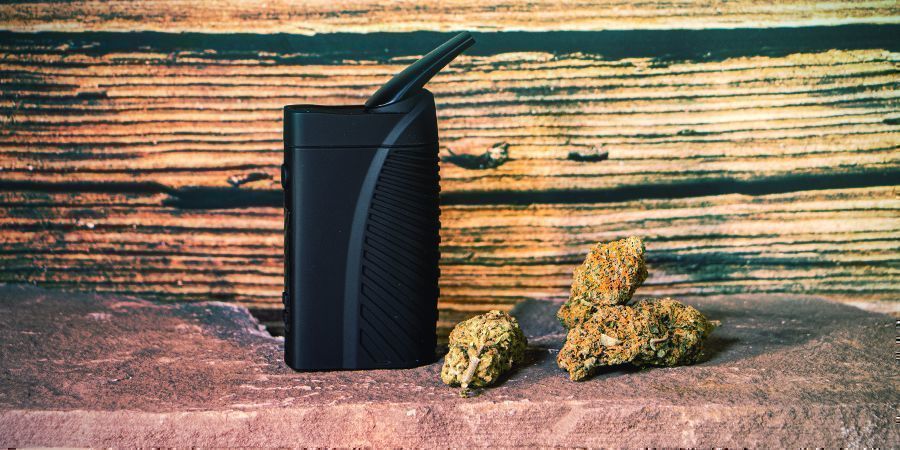 POUŽ&Iacute;VEJTE ČERSTV&Eacute; KVĚTY KONOP&Iacute;