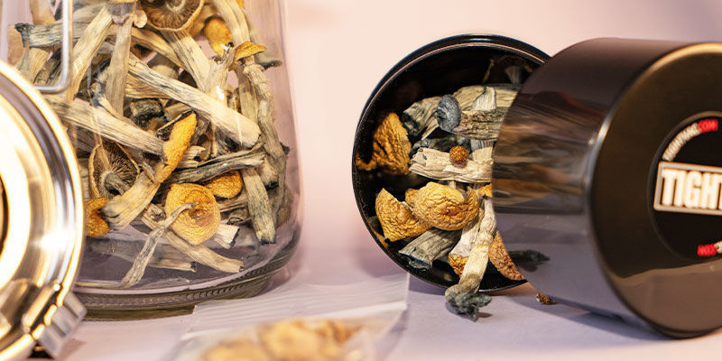 Jak skladovat su&scaron;en&eacute; houby