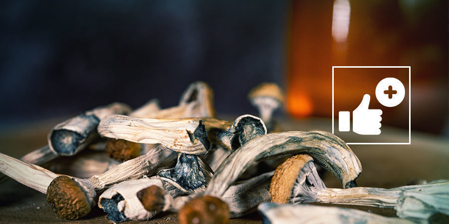 Jak&eacute; jsou v&yacute;hody modr&eacute;ho medu?