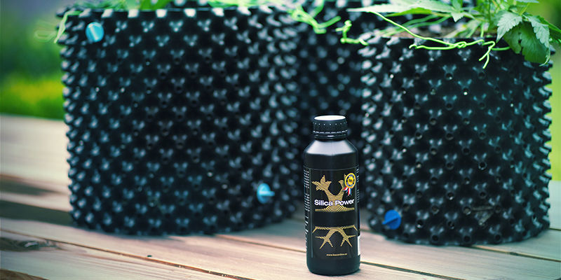 Konop&iacute; a křem&iacute;k: Reguluje př&iacute;jem živin