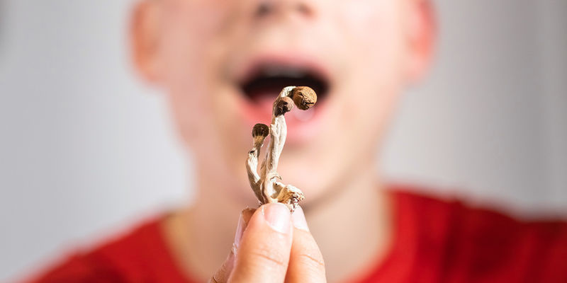 Interakce mozku a těla