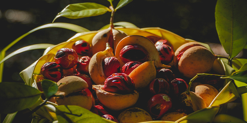 10 nejbizarněj&scaron;&iacute;ch leg&aacute;ln&iacute;ch způsobů, jak se zfetovat