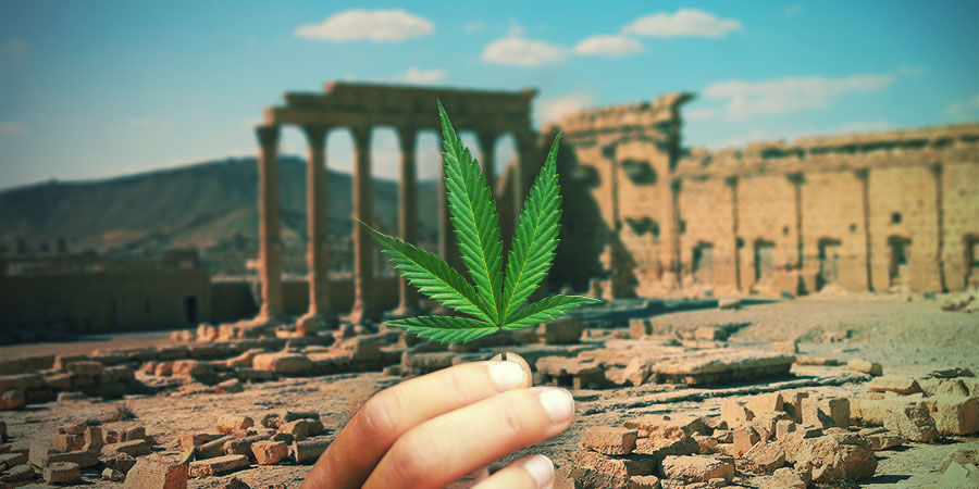 STRUČN&Aacute; HISTORIE KONOP&Iacute;