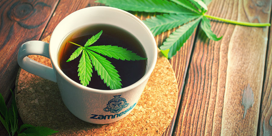 V&Yacute;ŽIVOV&Eacute; VYUŽIT&Iacute; KONOP&Iacute;