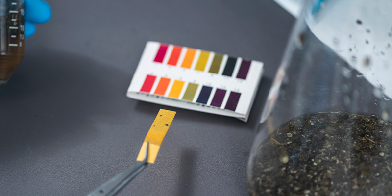 Tip #7: Properly maintain the pH of your cannabis crop