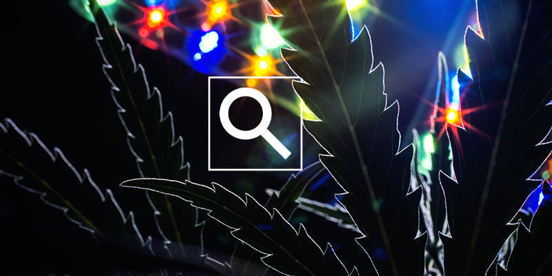 Jak zkontrolovat světeln&eacute; spektrum sv&eacute; pěstebn&iacute; lampy