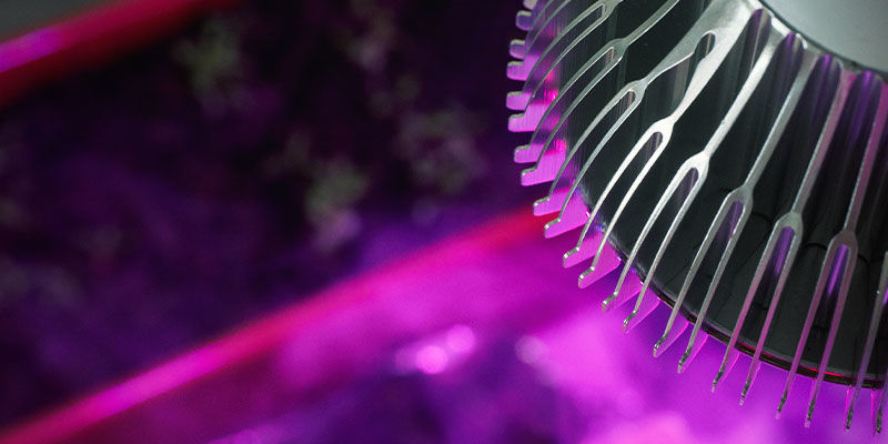 Jak&eacute; světeln&eacute; spektrum pro samonakv&eacute;tac&iacute; konop&iacute;?