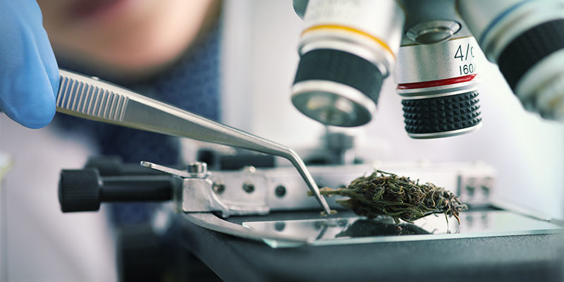 Pochopen&iacute; toho, co n&aacute;m navozuje stav zkouřen&iacute;