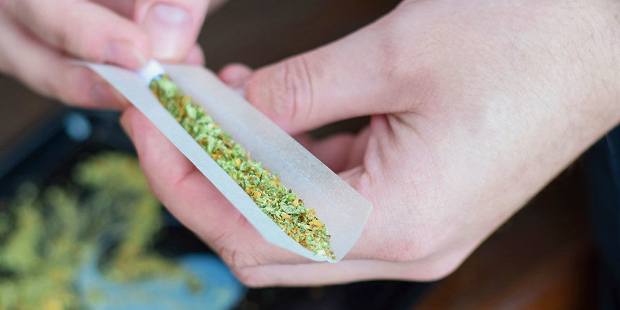 Budov&aacute;n&iacute; tolerance na konop&iacute;: Co to znamen&aacute;?